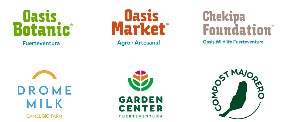 Experiencia destacada