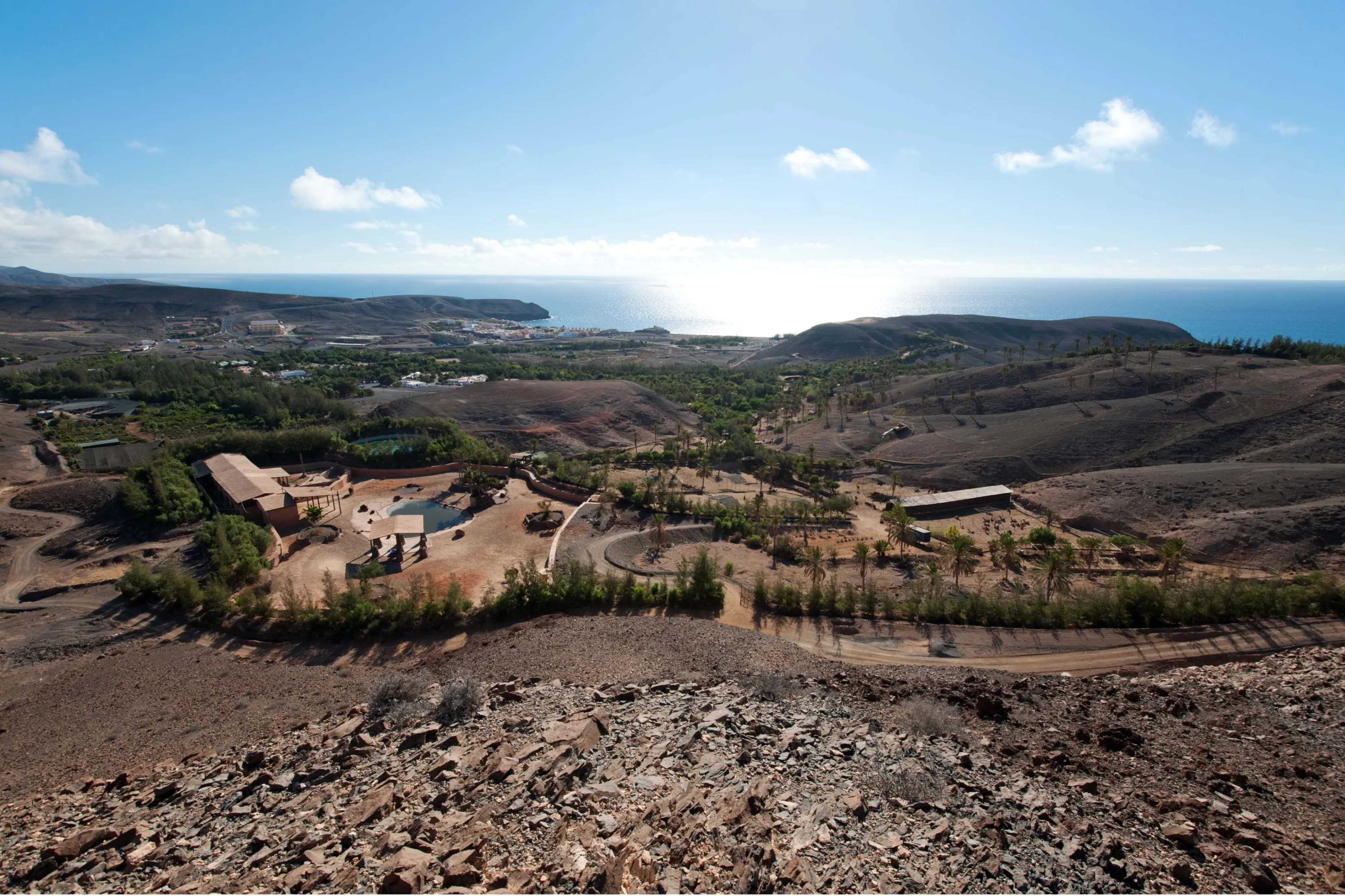 Mucho más que un zoológico
