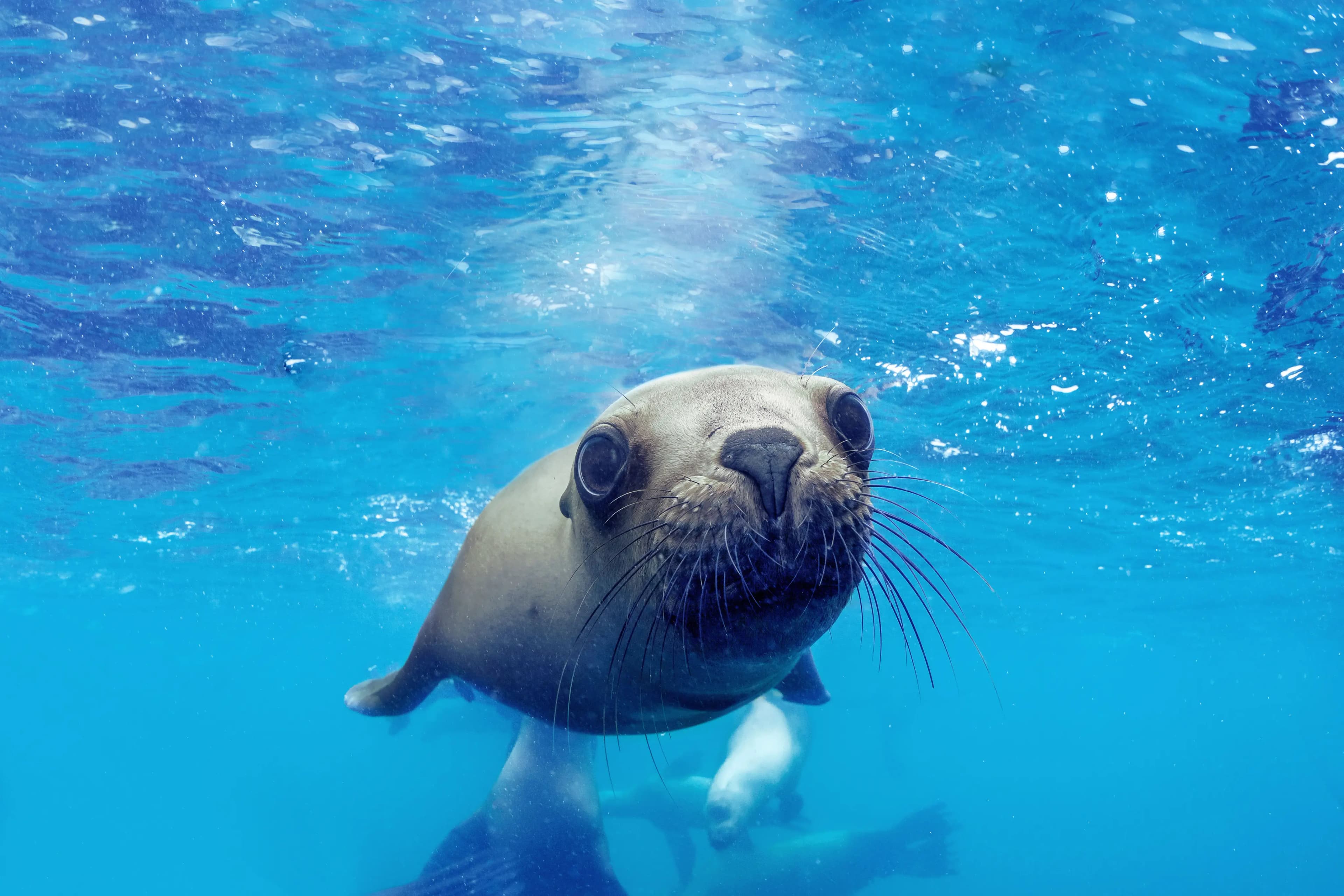 Conecta con la naturaleza como nunca antes.