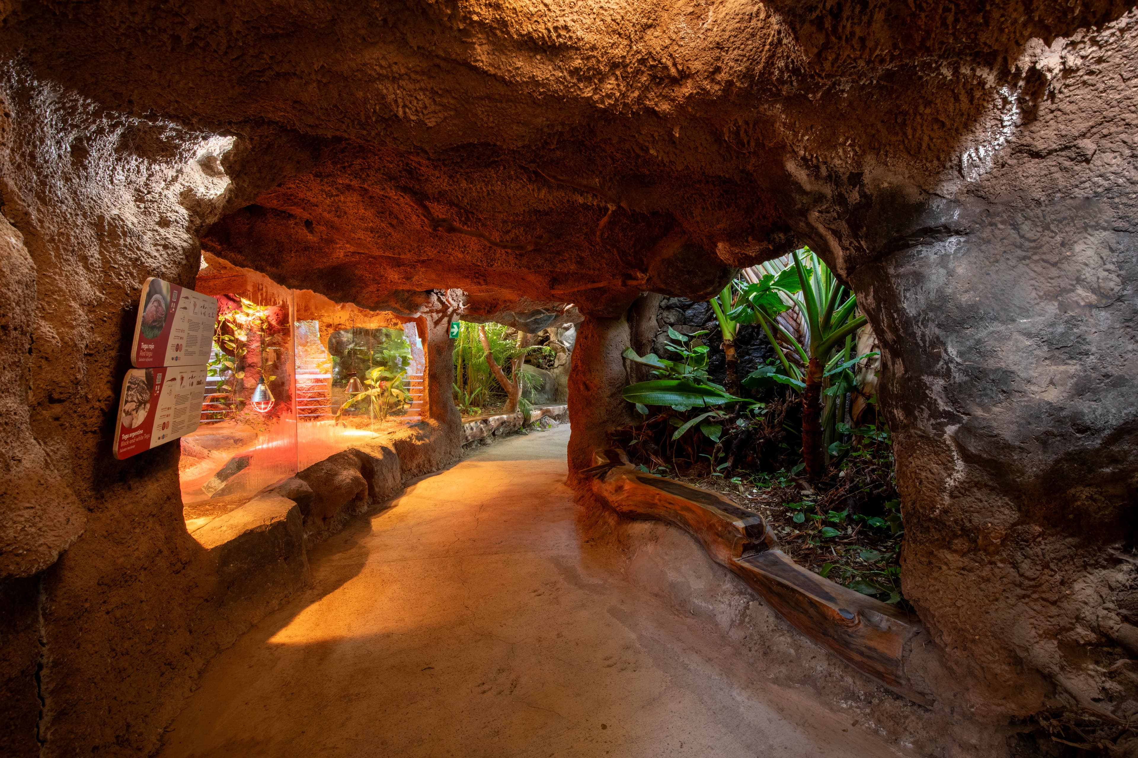 Vista panorámica de las actividades y áreas incluidas en Oasis Wildlife