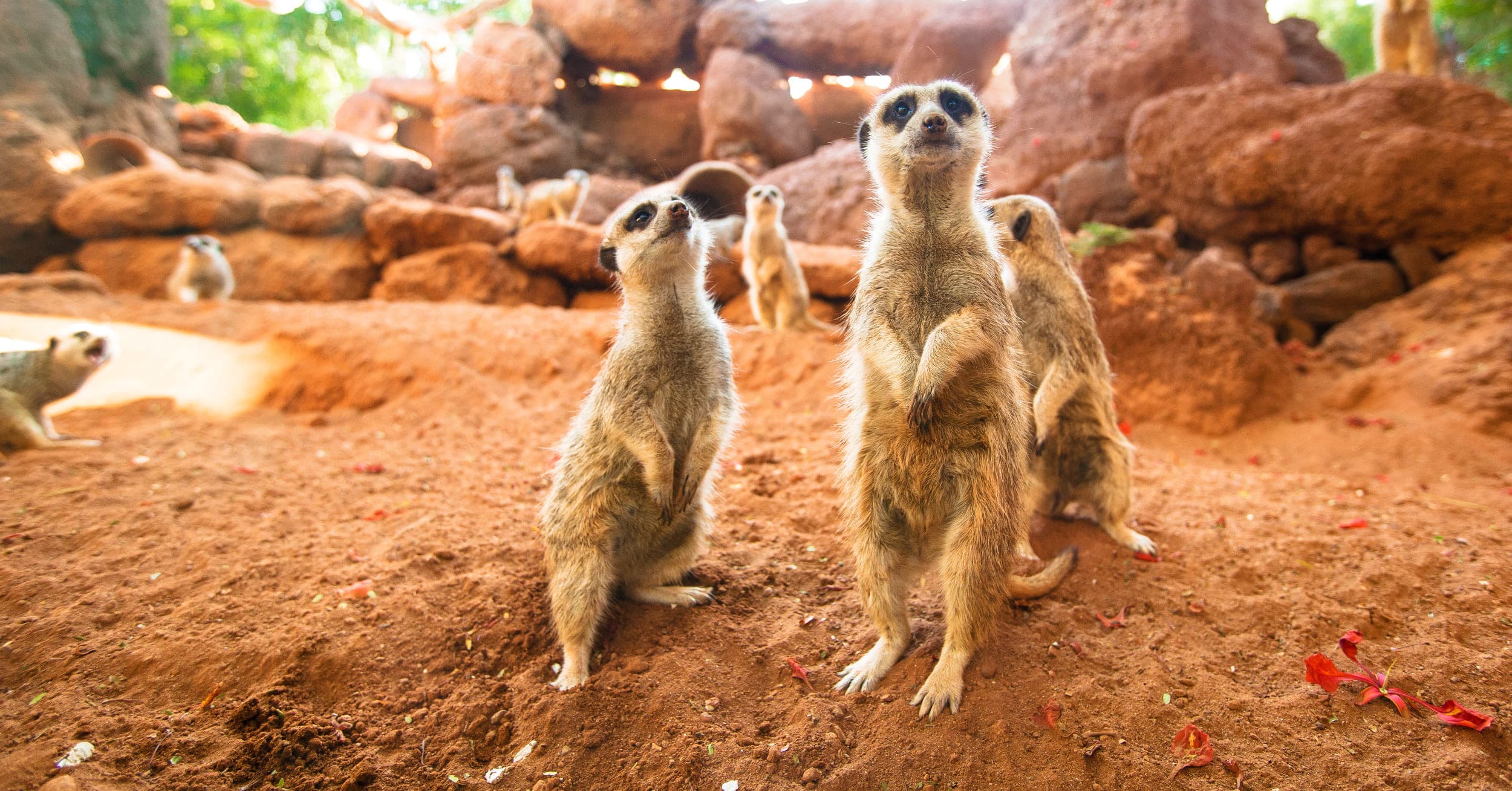 Algunas de nuestras acciones