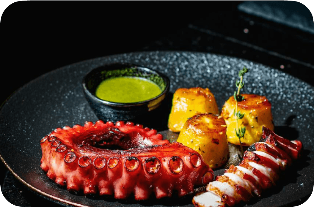 Experiencia destacada