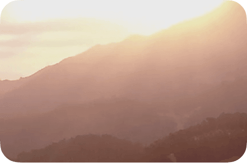 Los valores que nos mueven